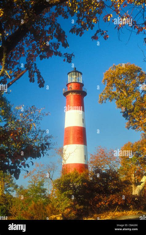 Chincoteague Lighthouse, Chincoteague National Wildlife Refuge ...