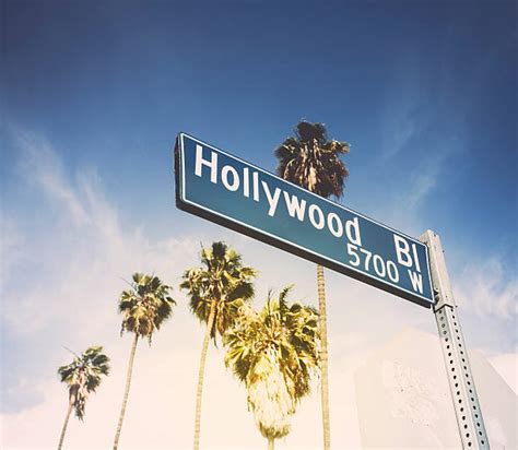 1,100+ Hollywood Sign Stock Photos, Pictures & Royalty-Free Images - iStock