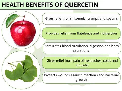 Quercetin and its Benefits – Elev8 Presents