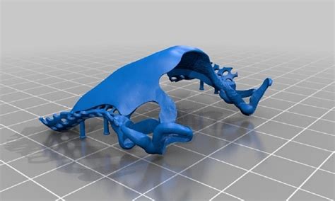 7 Top 3D Printing Software - NewsExel.Com