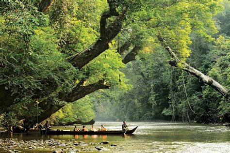 3-Day Taman Negara Adventure from Kuala Lumpur 2024