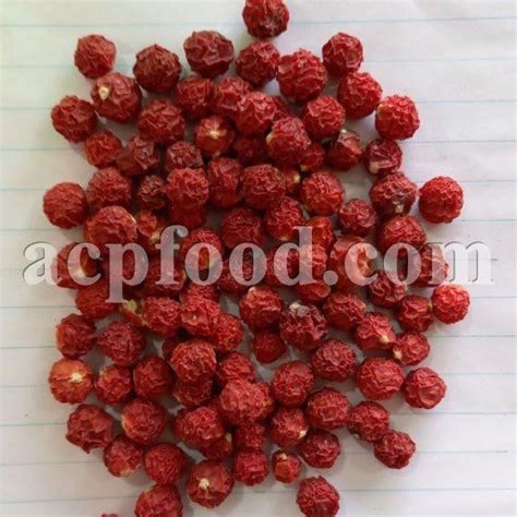 Physalis Alkekengi For Sale. Alkekengi Fruits | ACPFOOD