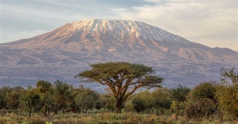 Majestic views of Mount Kilimanjaro