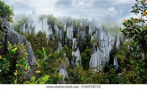 Gunung Mulu National Park Stock Photos and Pictures - 970 Images ...