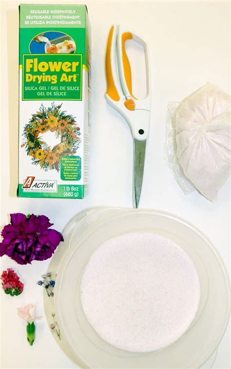 The Easiest Way to Dry Flowers in a Microwave | ACTÍVA Flower Drying ...