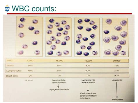 PPT - Haematology for Dental Students - WBC Disorders PowerPoint ...