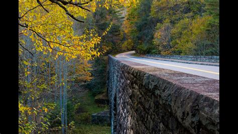 Here's when North Carolina's fall colors are expected to peak | wcnc.com