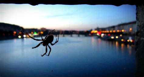 Prague Spider by P-Hosh on DeviantArt