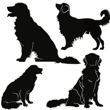 Silhouettes De Chien Golden Retriever PNG , Golden Retriever, Chien D Or, Chien Golden Retriever ...