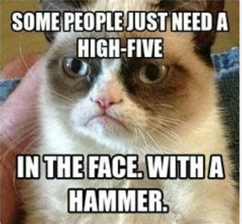 Monkey Meme Some peole just need a high five in the face with a hammer ...