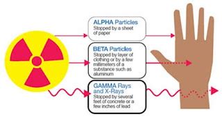 Laboratory Safety and Management: Hazards of Alpha and Beta Particles ...