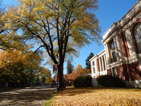 a tree in front of a building with many leaves on the ground and some ...