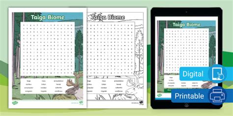 Taiga Biome Word Search for 3rd-5th Grade - Twinkl