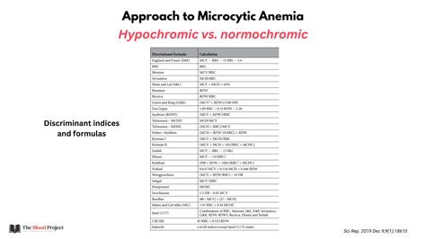 System 2 Thinking Approach to Thalassemia Minor vs. Iron Deficiency ...