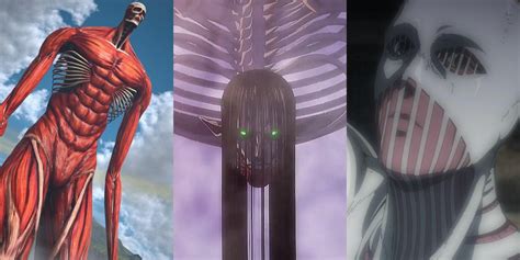 Attack On Titan: 7 Biggest Titans Of The Series - TrendRadars