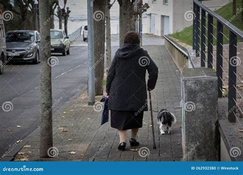 Old Woman Walking Outdoors with Her Dog Stock Photo - Image of stick, outdoor: 262932380