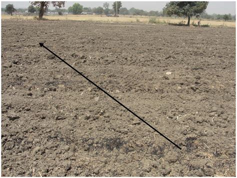 Tillage erosion involves the progressive down-slope movement of soil;... | Download Scientific ...