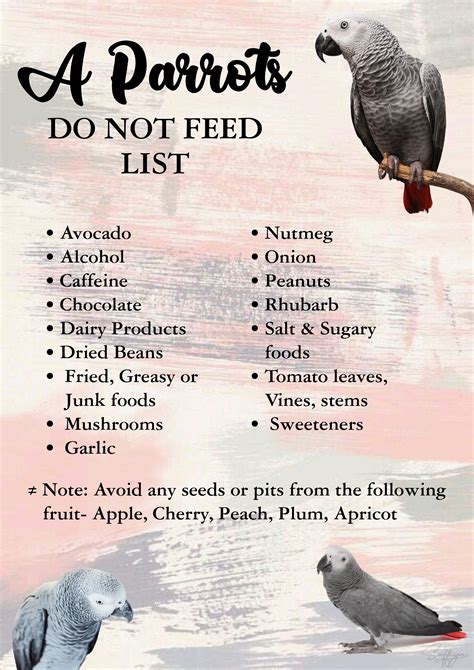 Do not feed list | African grey parrot toys, Parrot pet, African grey parrot