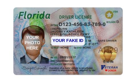 Fake ID For Roblox VC – Your Fake ID Templates