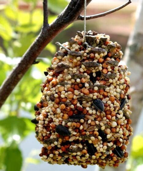 Pine Cone Bird Feeder | FaveCrafts.com