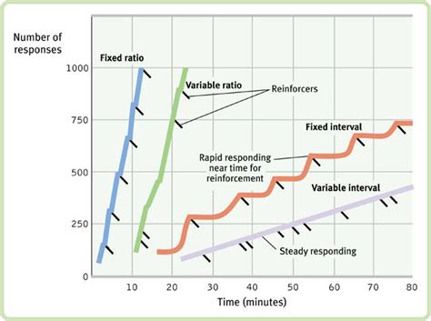 variable interval reinforcement schedules graph - Google Search | ABA | Pinterest | Aba, Applied ...