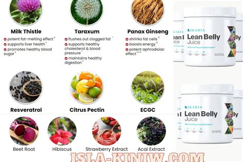 Ikaria lean belly juice ingredients (15 Full List, Side Effects)