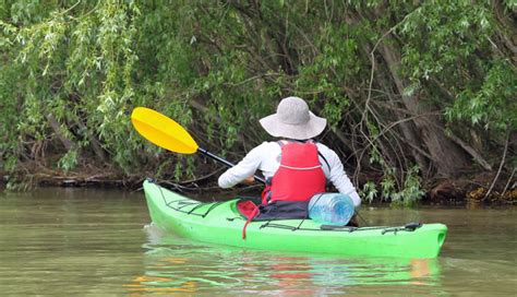 Napa River Kayak Tour