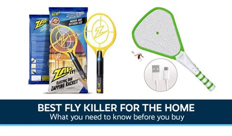 Best Fly Killer for Home UK - Internet Eyes