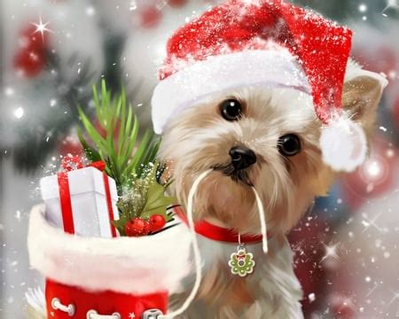 Merry Christmas! - Dogs & Animals Background Wallpapers on Desktop Nexus (Image 2192840)