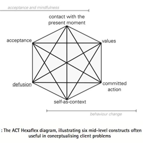 The ACT Hexaflex diagram, illustrating six mid-level constructs often... | Download Scientific ...