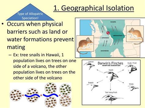 PPT - 15.2 Species and Speciation Overview PowerPoint Presentation, free download - ID:2141229