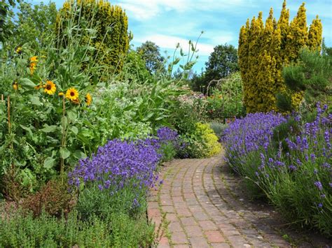 Lavender Companions - Plants To Grow With Lavender