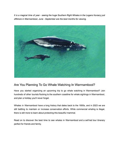 Warrnambool Whale Watching by Warrnambool Retreat - Issuu