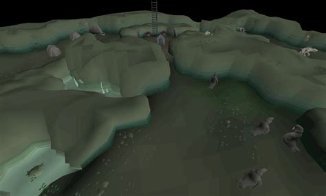 File:Waterbirth Island Dungeon 2.png - OSRS Wiki