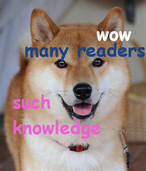 File:Doge meme.png - Wikimedia Commons