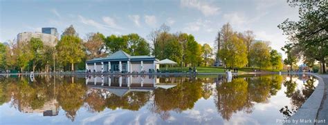 Boston Common Frog Pond | Boston common, Spray pool, Pond