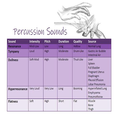 Advanced Assessment Percussion Sounds 1 Page - Etsy