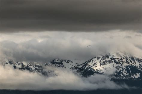 Weather in Juneau, Alaska - Juneau Tours and Excursions - Juneau, AK