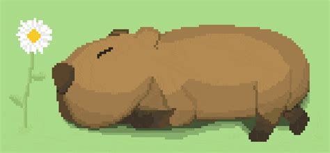 Capybara GIFs - GIFcen