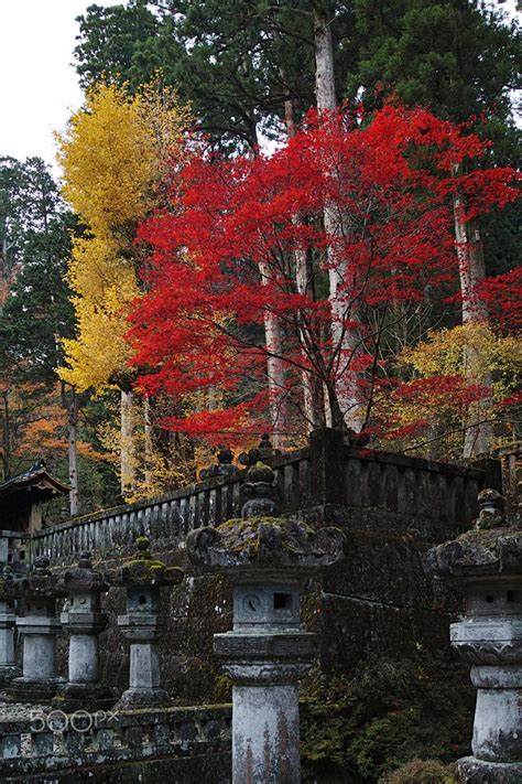 Autumn In Nikko - null | Nikko, Autumn, Japan