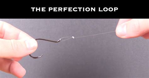 How to Tie the Perfection Loop [Picture and Video Tutorial]