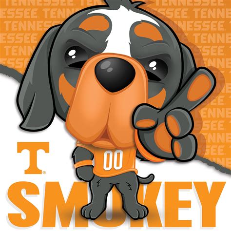 Smokey - Tennessee Volunteers Mascot 100 Piece Puzzle | Puzzles for Kids – MasterPieces Puzzle ...