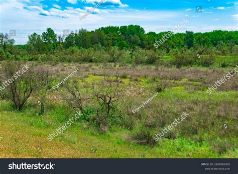 28,975 imágenes de Forest steppe - Imágenes, fotos y vectores de stock ...