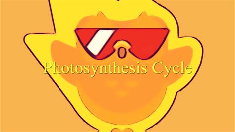 PHOTOSYNTHESIS CYCLE - YouTube