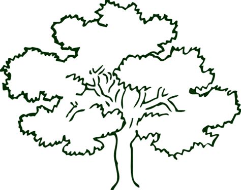 Download High Quality Tree clipart narra Transparent PNG Images - Art Prim clip arts 2019