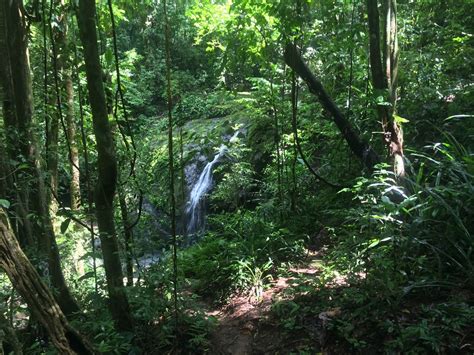 Hiking Manuel Antonio National Park — The Last Adventurer