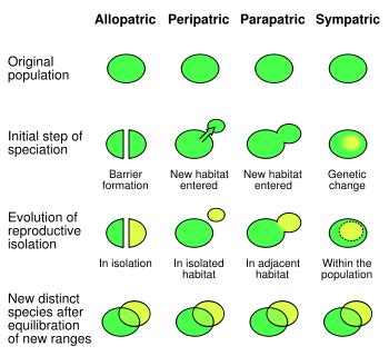 Speciation - Definition and Types | Biology Dictionary