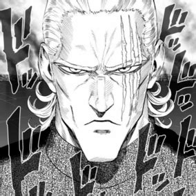 King | One punch man king, One punch man manga, One punch man anime