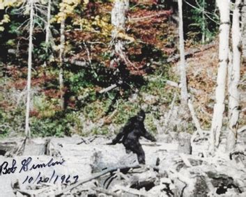 Patterson–Gimlin film - Wikipedia