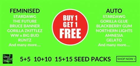 Cannabis Seeds Store Your Go-To Store for BOGOF Offers.